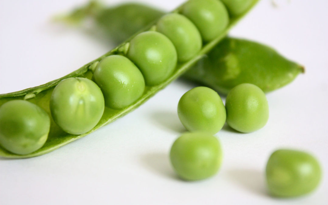 The Great Pea Story